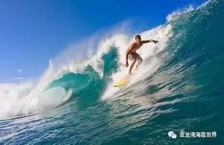 木耳长时间浸泡有毒吗，应该如何浸泡？游戏画面
