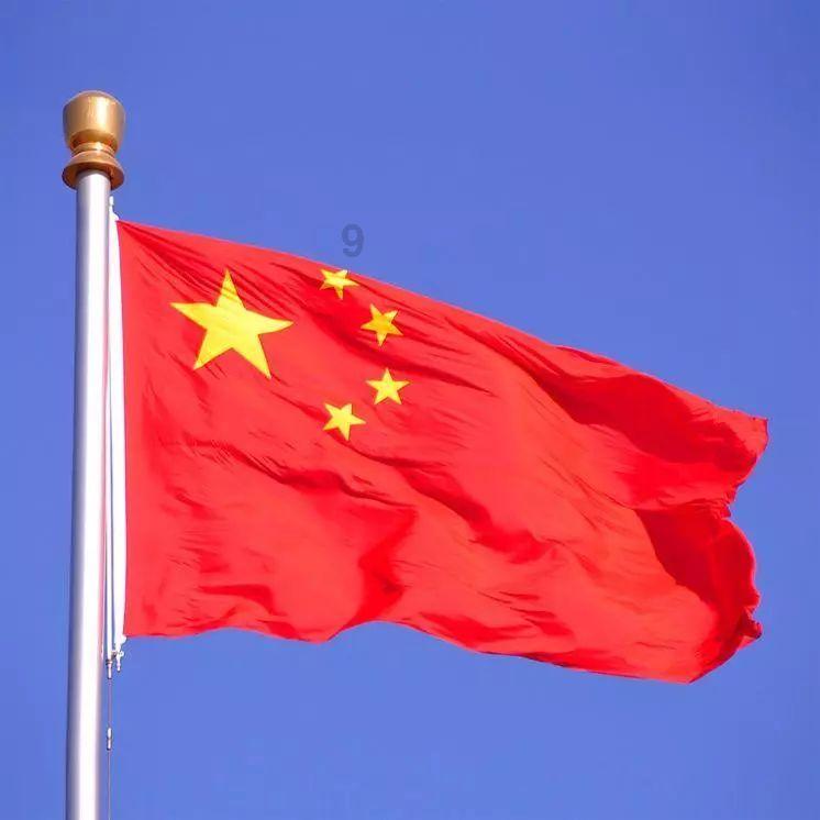 救出被困的老鼠